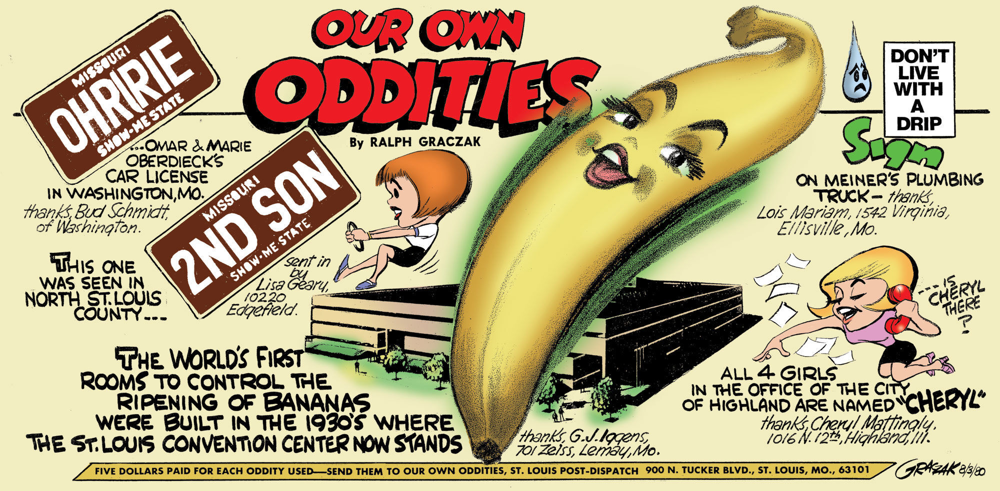 Our Own Oddities